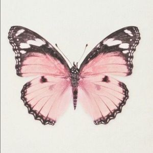 Meet your Posher, Zoey